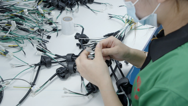 Assembly Wire Harness
