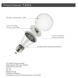 A Bulb DOB Series