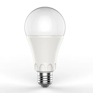 New A Bulb Castle Series