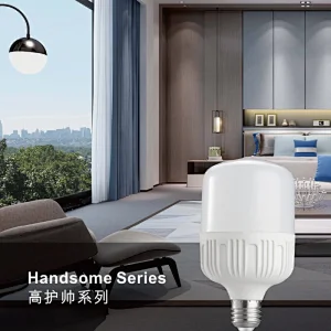 Handsome Series