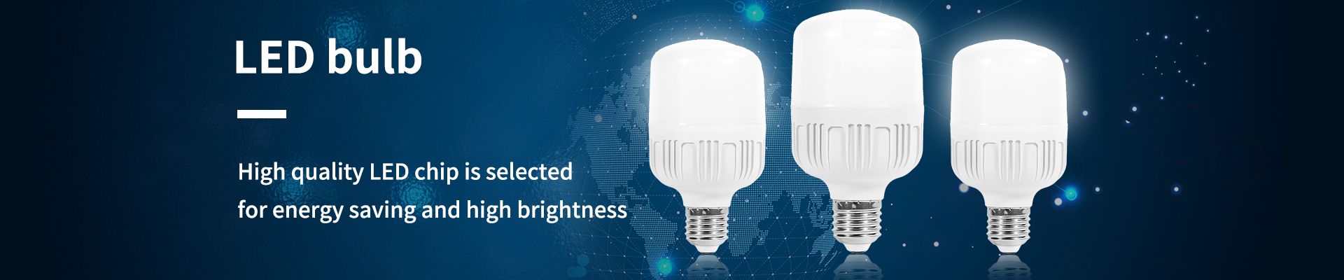 LED Light Bulbs Company