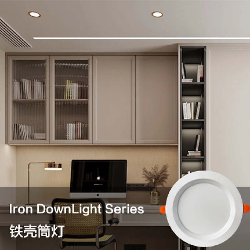 Iron DownLight Series