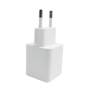 2022 Special Hot Selling Gan 30W Type C+USB-A charger 5V 3A  9V 2.77A  12V 2.5A 30W max with Micro USB Data Cable