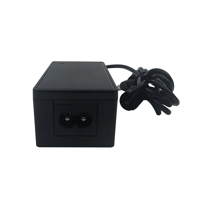 Molde privado 8V 2.2A 10V 2A 15V 1.8A 20V 1.6A 48W MAX fuente de alimentación fuente de alimentación para montaje en rack para computadora en ventas