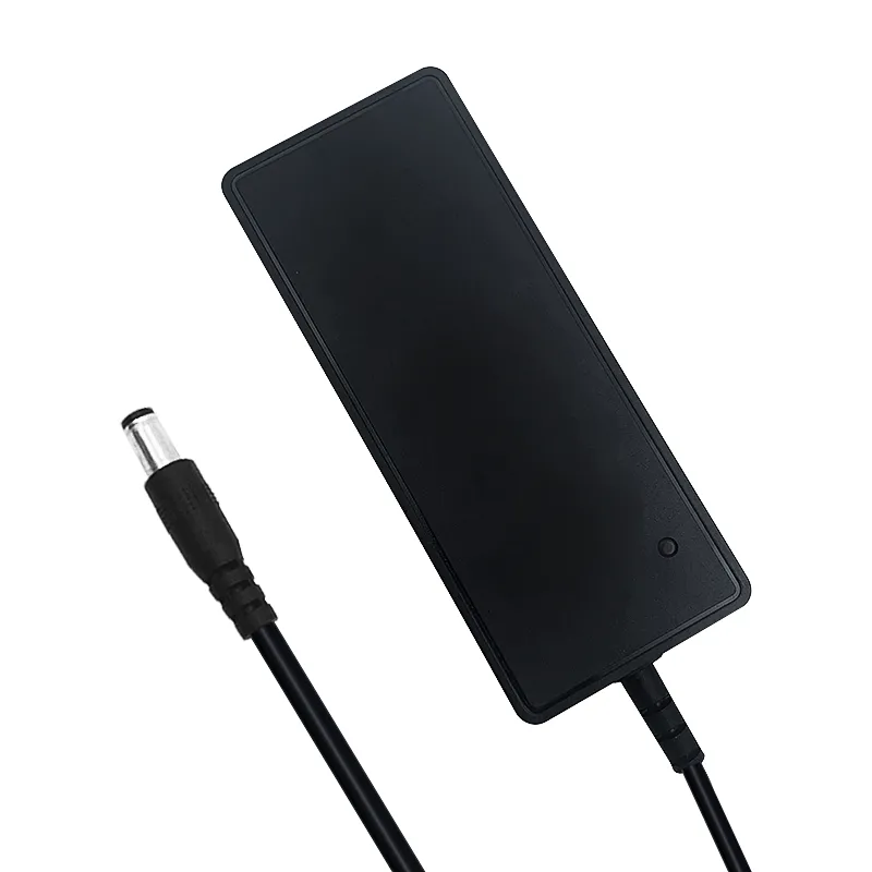 Molde privado 8V 2.2A 10V 2A 15V 1.8A 20V 1.6A 48W MAX fuente de alimentación fuente de alimentación para montaje en rack para computadora en ventas