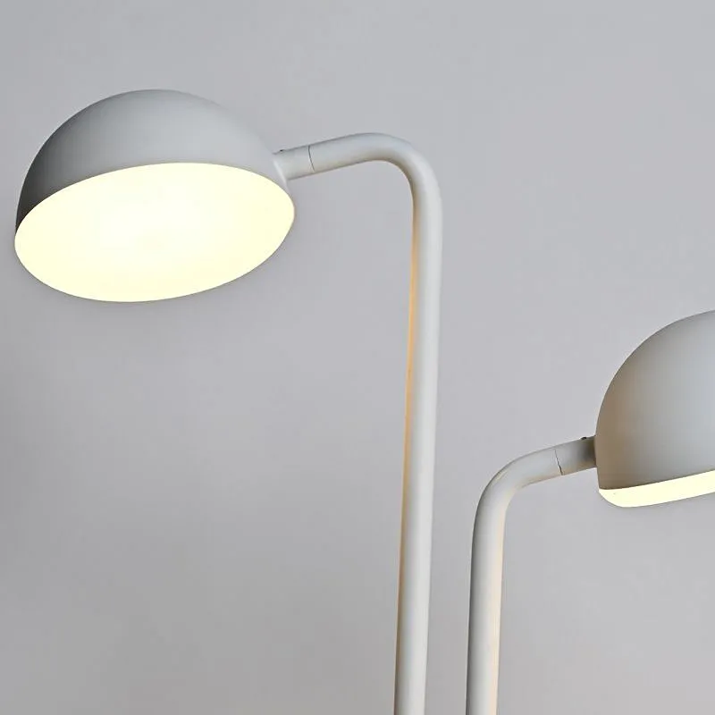 White-Li Adjustable double head LED desk light eye protect reading light for kids learning