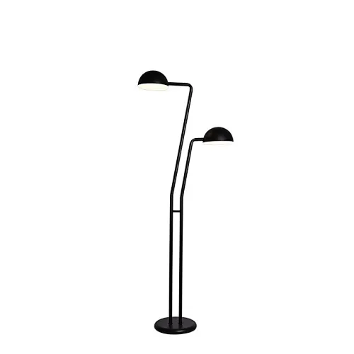 Black-Li Adjustable double head LED eye protect standing reading light for learning