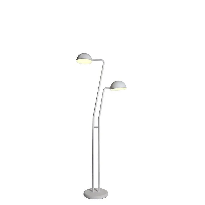 White-Li Adjustable double head LED eye protect standing reading light for learning