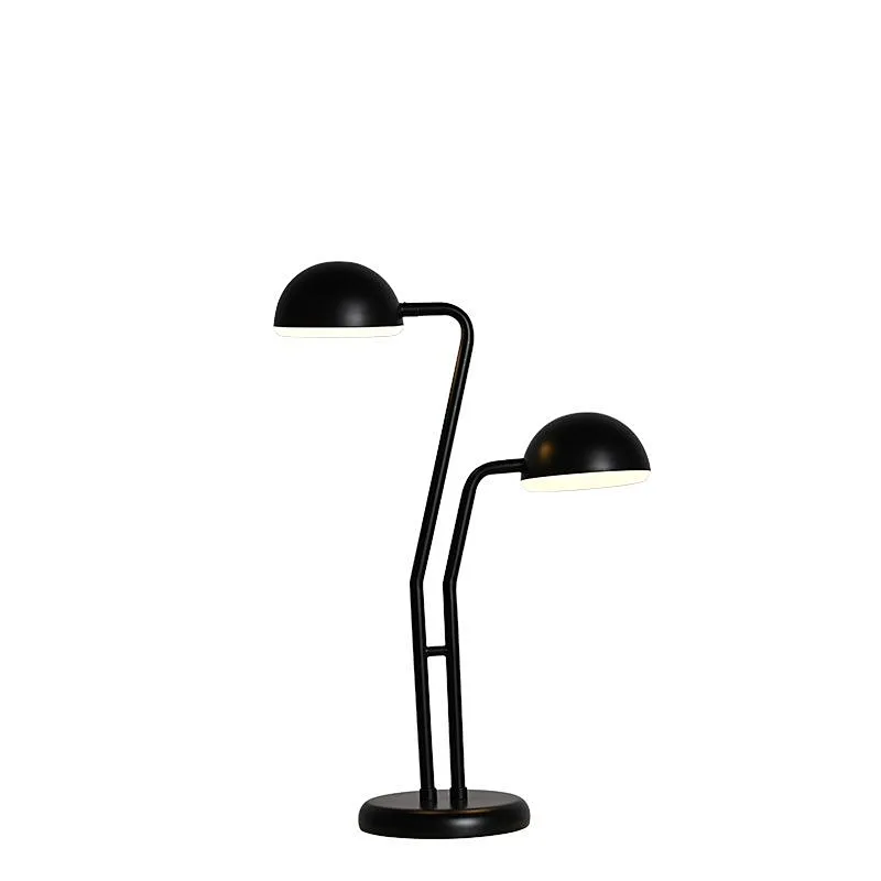 Black-Li Adjustable double head LED desk light eye protect reading light for kids learning