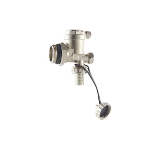 H3007