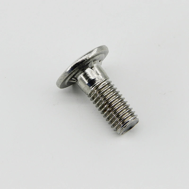 Stainless steel Round head bolt