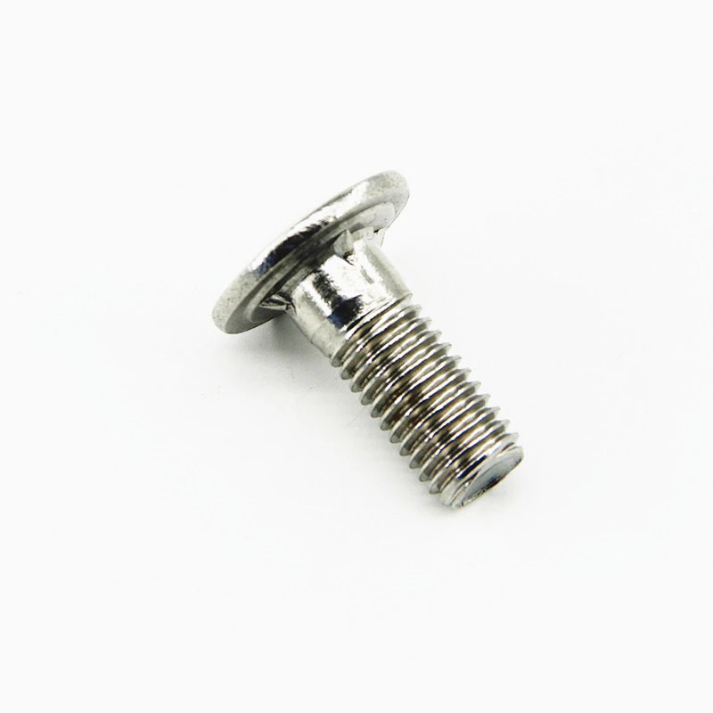 Stainless steel Round head bolt
