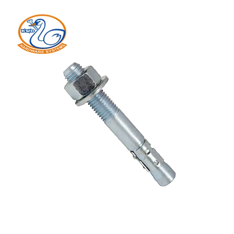 wedge anchor