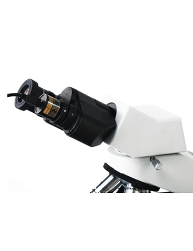 eyepiece camera,series cmos,eyepiece,microscope camera eyepiece,cmos camera Digital Cameras for Microscopes USB eyepiece camera