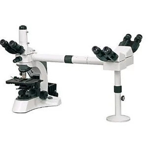 BS-2080MH Multi-Head Microscope