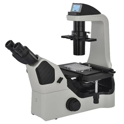 High level Inverted Fluorescent Biological Microscope