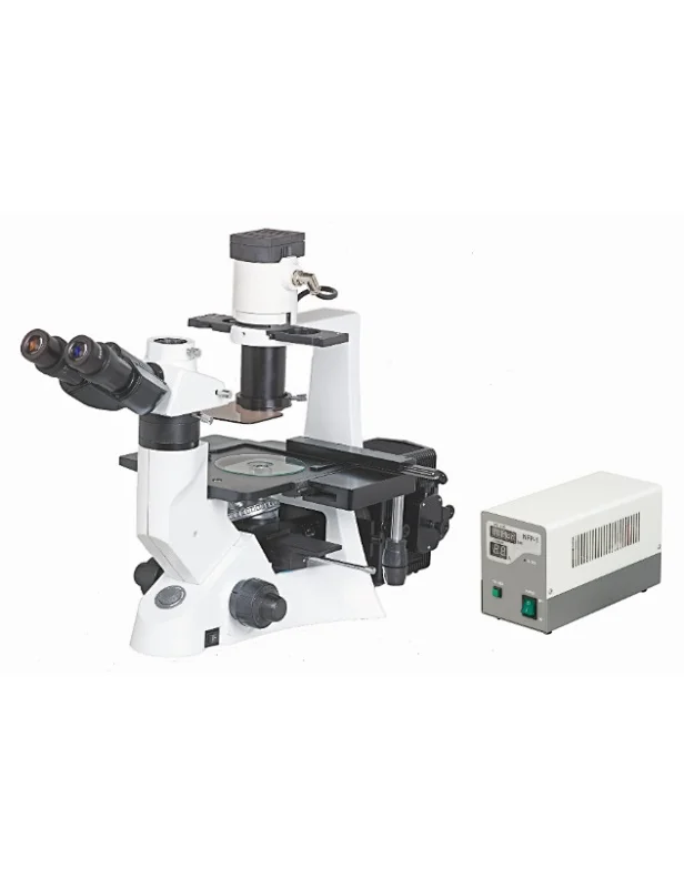 Fluorescent Biological Microscope
