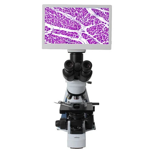 HD LCD Digital Biological Microscope Medical Lab Microscope microscope with 11.6 inch screen microscope with LCD display high power microscope