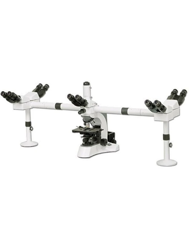 Seidentopf Trinocular Head