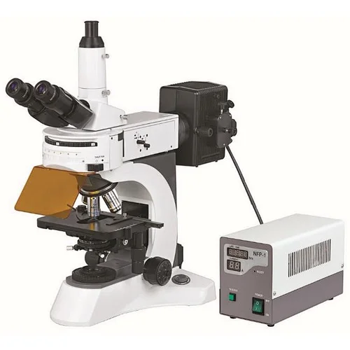 BS-7000A Upright Fluorescent Biological Microscope with Fluorescent Filters