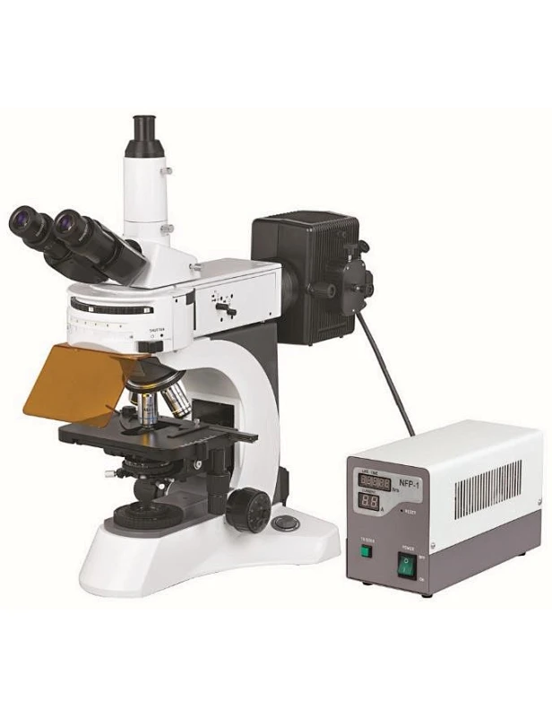 biological microscope fluorescent