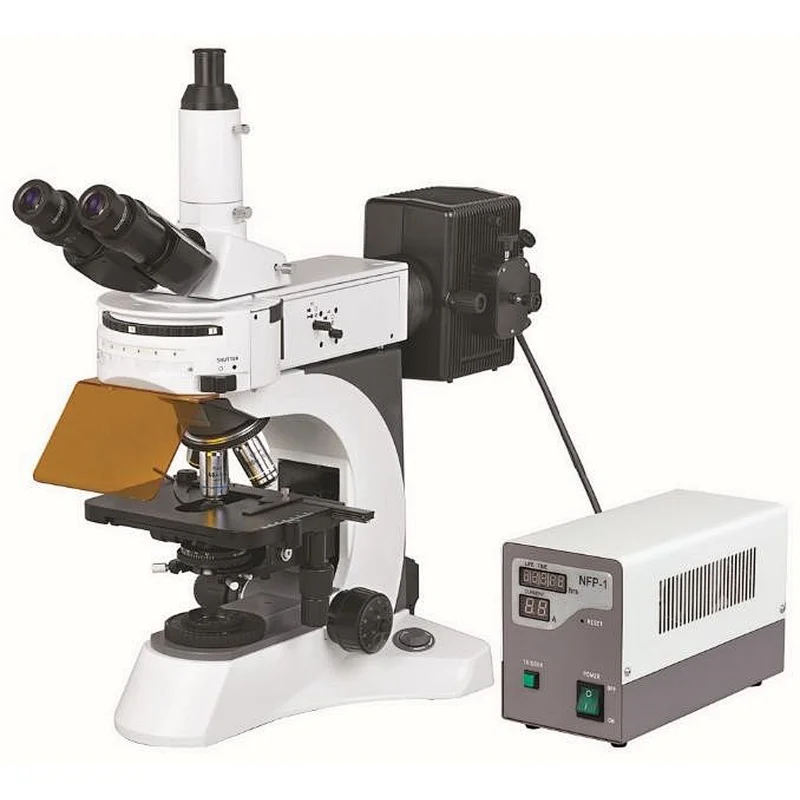 biological microscope fluorescent, upright microscope, Upright Fluorescent Biological Microscope
