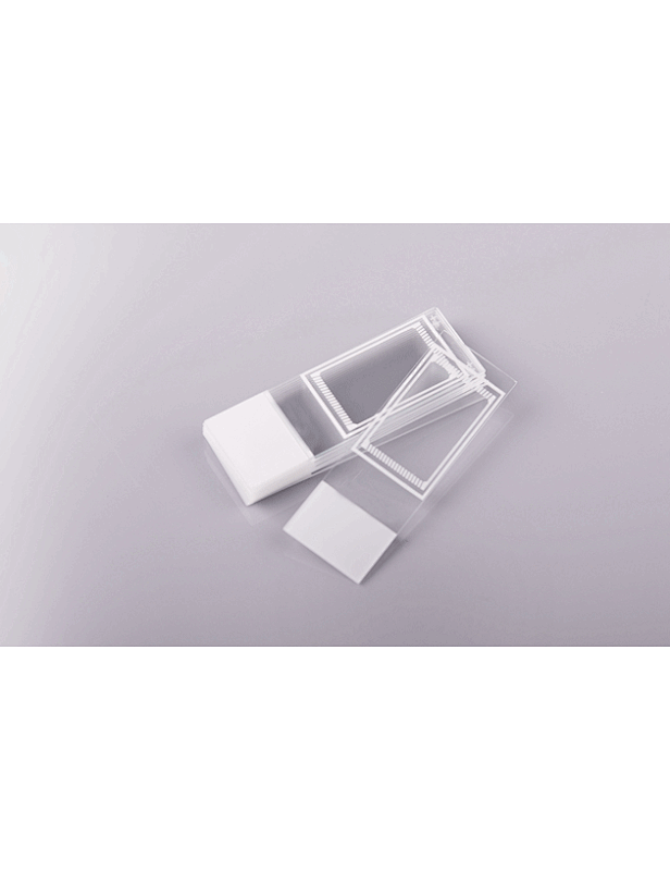 Microscope Slides for Diagnosis