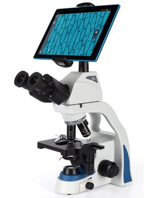 medical analyses