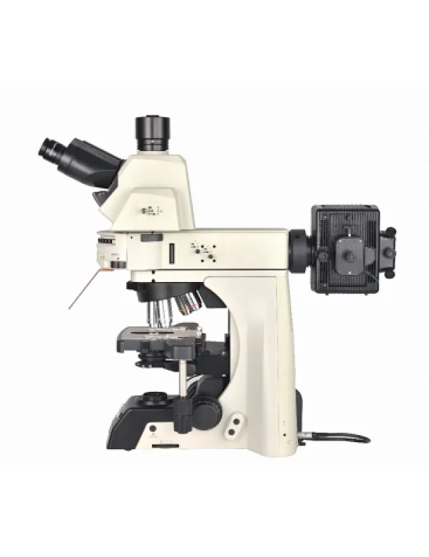 biological microscope fluorescent
