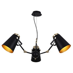 Lighting Fixtures Chandelier pendant light