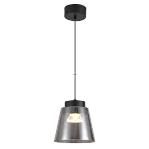 20W modern smoke grey glass pendant lamp LED