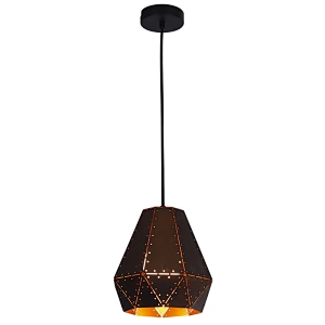 Pendant Lighting iron single light