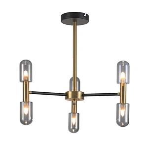 modern luxury creative ceiling lamp