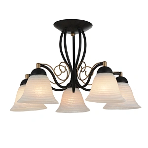 traditional ceiling lamp