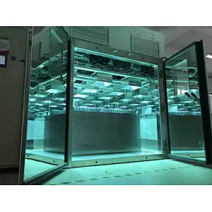 UV Aging Climatic/Environment Chamber/ Solar Panel Testing Machine with IEC61215