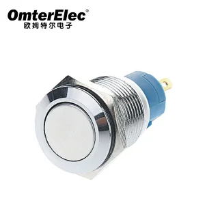 16F No light flat head NC NO CE, RoHS  Silver contact
