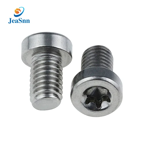 Stainless Steel Torx Screw