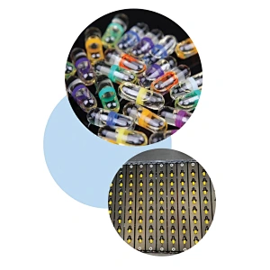 NSF-800 Automatic Hard (Liquid) Capsule Gluing And Sealing Machine