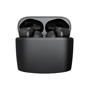 true wirless anc earbuds