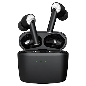 anc earphone