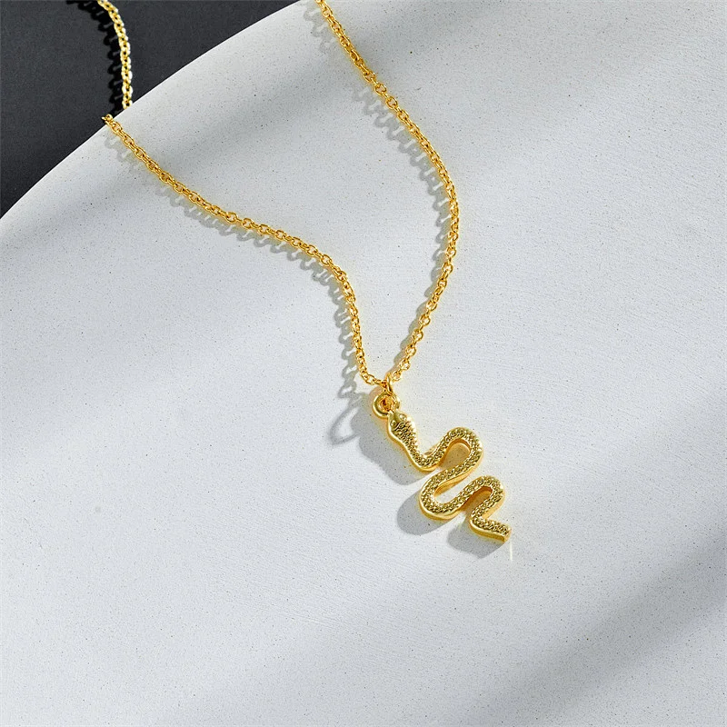 Personality Snake Pendant Choker Titanium Steel Necklace