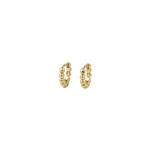 Classic Hoop Earrings Temperament Girl's Daily Wear Earrings