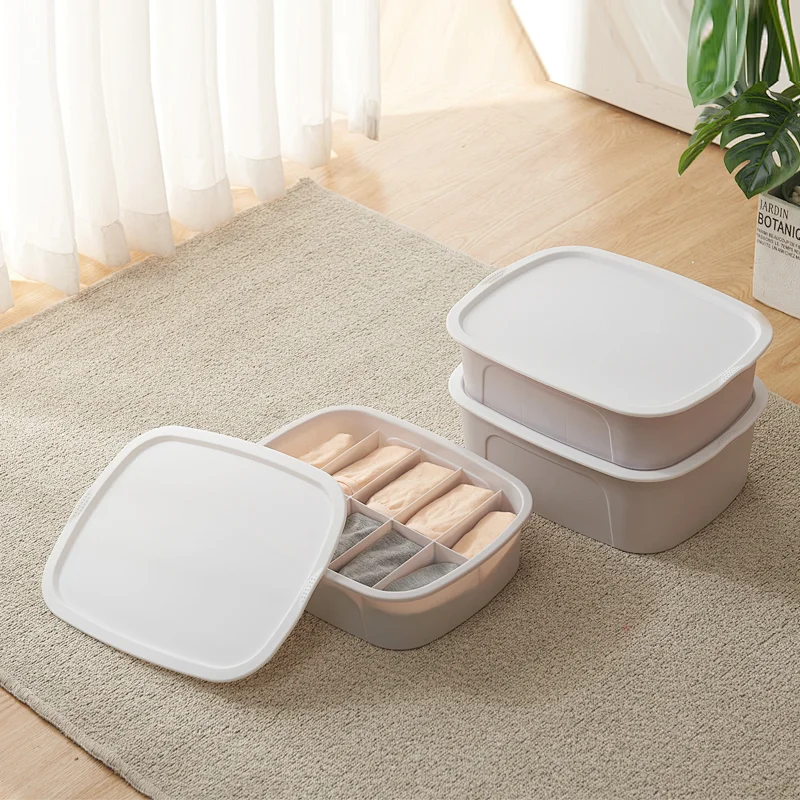 Storage Box AK83001