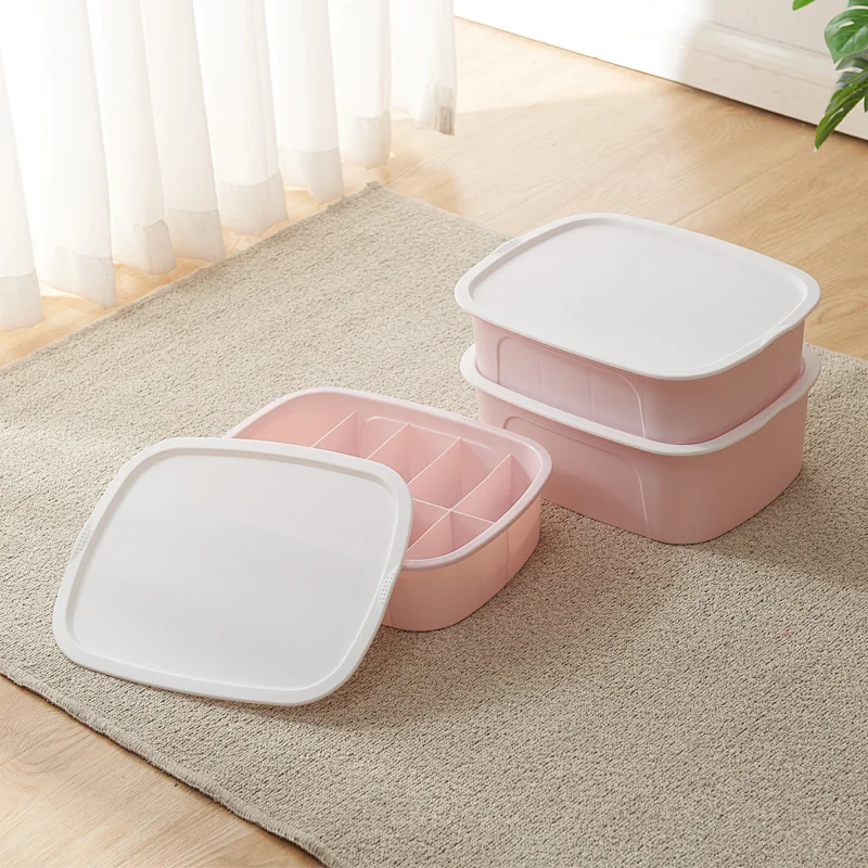 Storage Box AK83001