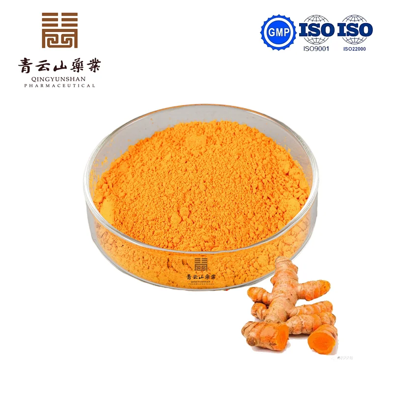 Turmeric Extract