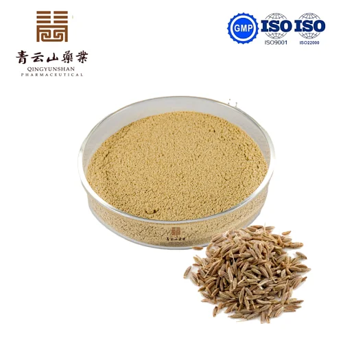 Cumin Powder