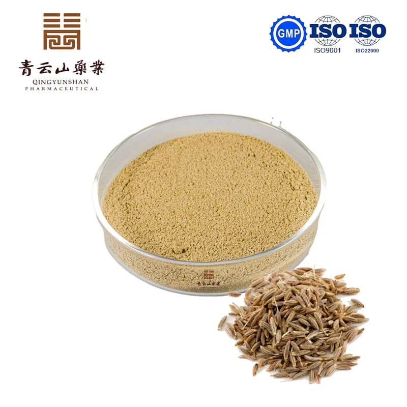 Cumin Powder