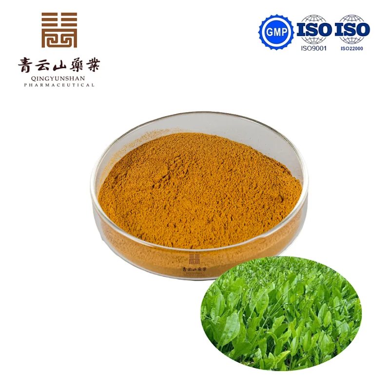 Alisma Extract