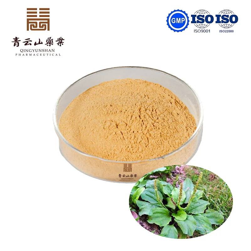 Semen Plantaginis Extract