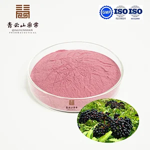 Elderberry SD Powder
